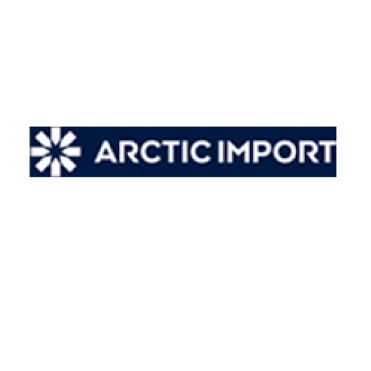 Arctic Import logo