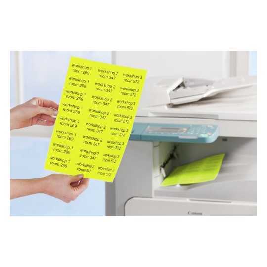 Labels in special colours | L7651Y-25 | Avery