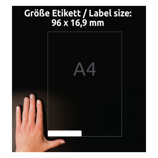 Multipurpose General-use Labels | L6031REV-25 | Avery