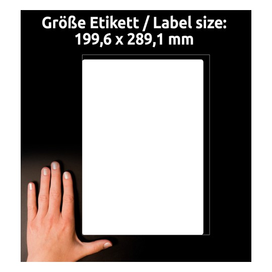 Kuvassa on käsi, joka pitelee tyhjää etikettiä, jonka mitat ovat 199,6 x 289,1 mm, tummalla taustalla.